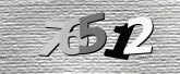 Captcha resmi