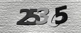 Captcha resmi