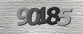 Captcha resmi
